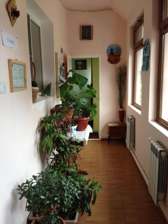 Iris B&B In Debed Canyon Alaverdi Exterior foto