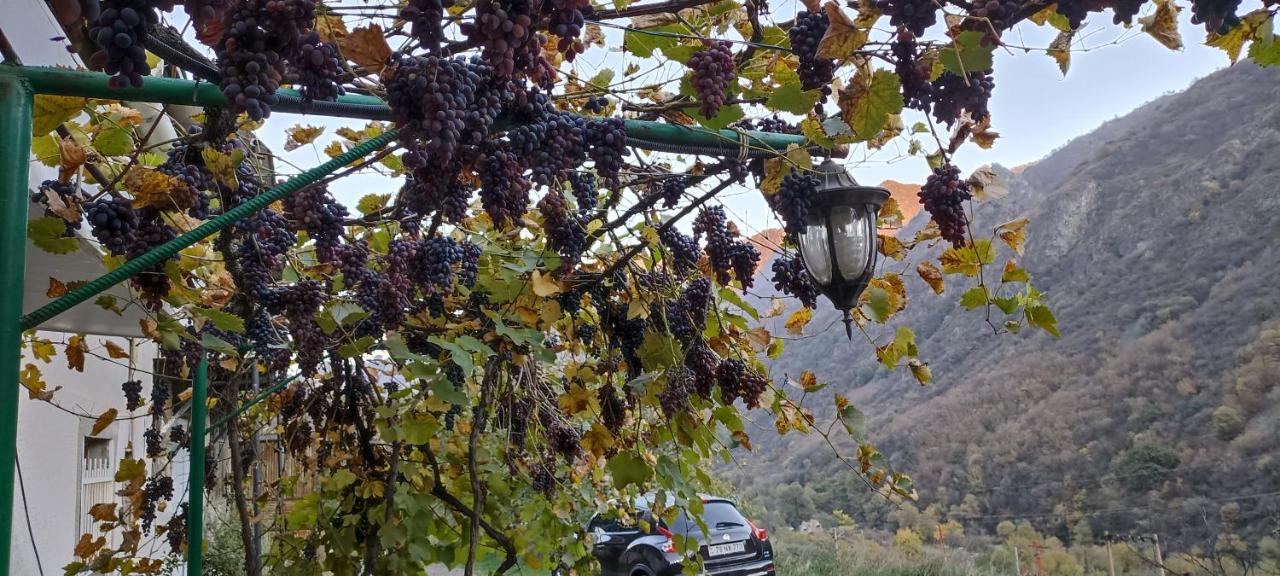 Iris B&B In Debed Canyon Alaverdi Exterior foto
