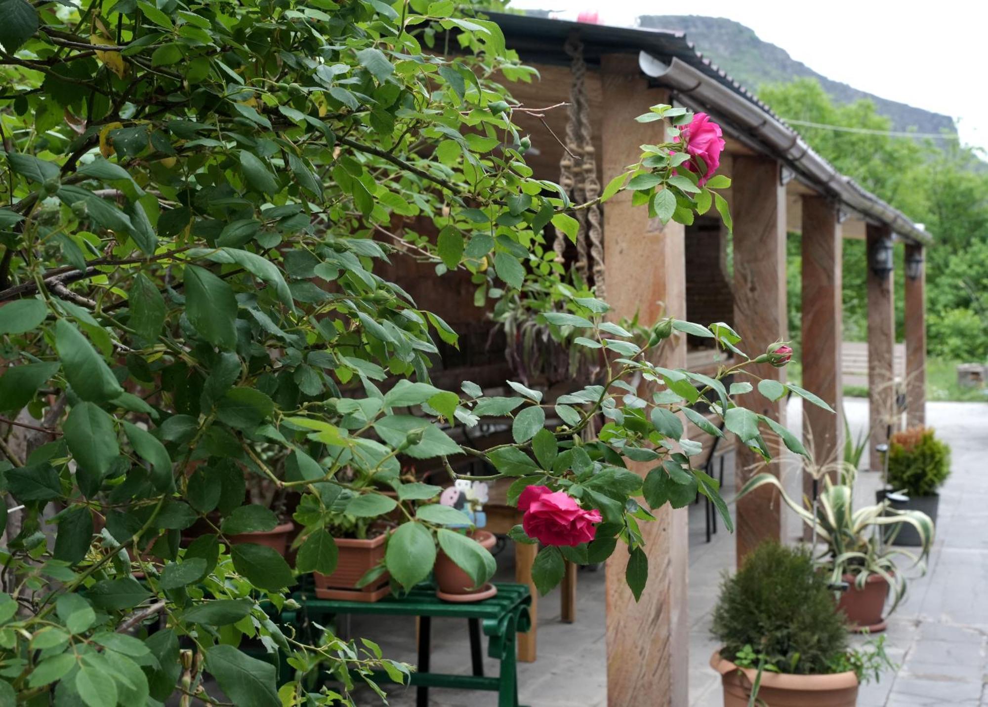 Iris B&B In Debed Canyon Alaverdi Exterior foto