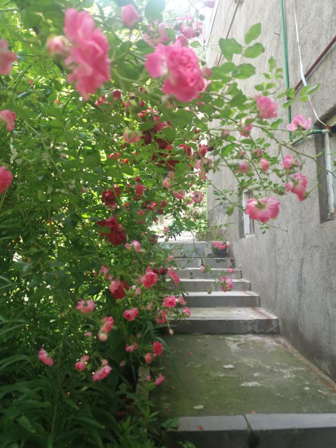 Iris B&B In Debed Canyon Alaverdi Exterior foto
