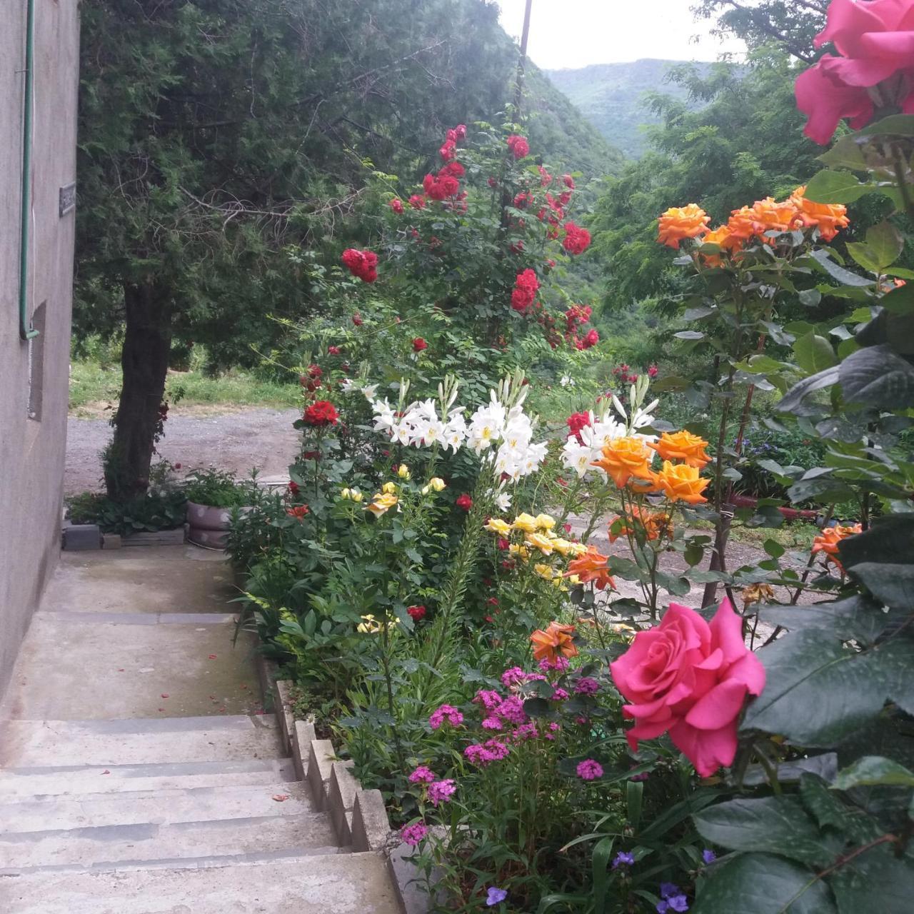 Iris B&B In Debed Canyon Alaverdi Exterior foto