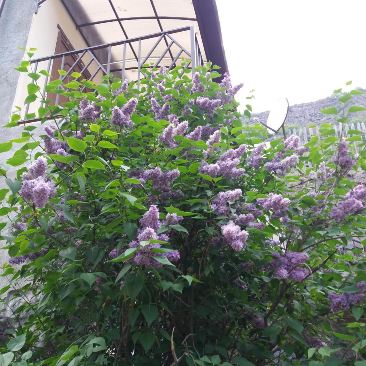 Iris B&B In Debed Canyon Alaverdi Exterior foto
